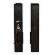 Acoustic Audio TSi300 Bluetooth Powered Floorstanding Tower Multimedia Speakers with Optical Input and Mics TSi300DM2 N5