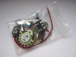 Portable Guitar Amplifier Kit