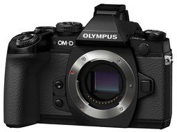Olympus OM-D E-M1 Mirrorless Camera with Olympus M. Zuiko Digital ED 12-40mm f/2.8 PRO Lens N14