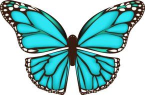 Pre Cut 85 Mixed Edible Butterflies 24 designs 21mm Wafer Paper Cupcake Cake Toppers N6
