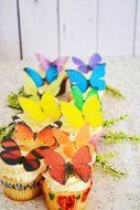 Edible Butterflies &copy; -Large Rainbow Variety Set of 12 - Cake and Cupcake Toppers, Decoration N2