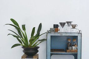 4 Cup Serving Set N5