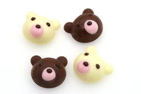 Bear Face Shaped Silicone Chocolate, Jelly and Candy Mold N3