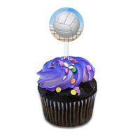 Sporty Volleyball Cake Cupcake Toppers Picks Set