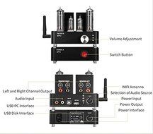 Douk Audio APPJ PA1601A WiFi Smart Mini HiFi Tube Amplifier USB PC/U-disk/SD Card/AUX Input (Silver) N2