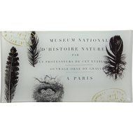 Paperproducts Design French Script Rectangular Glass Decorator Plate, 10.25 x 5-Inch