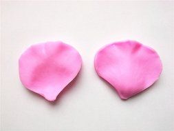 Wocuz W0260 Silicone Leaf Petal Veiner Sugar Craft Tools Fondant and Gum Paste Mold