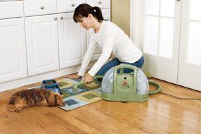 BISSELL 1400B Multi-Purpose Portable Carpet Cleaner, Green N8