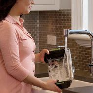 BISSELL DeepClean Premier Pet Carpet Cleaner, 17N4 N5