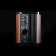 HiVi Swans - M100MKII - Full Rosewood cabinat