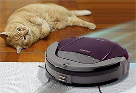 Ecovacs D79 Robotics Deebot Self-Emptying Multi-Surface Floor Vacuum Robot &amp; 3D Cleaning System, Burgundy