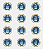 12 - United States Air Force Edible Image Cupcake Toppers N2