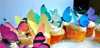 Edible Butterflies &copy; -Large Rainbow Variety Set of 12 - Cake and Cupcake Toppers, Decoration N3
