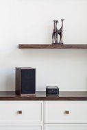 Paradigm Shift PW-Amp Wireless Amp (Black) N12