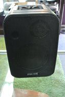 Olympus CLV A900R/k965 900mhz Indoor/Outdoor Wireless Speaker N2