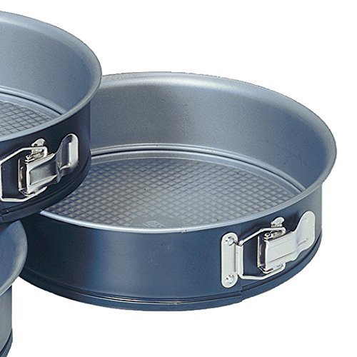 Fox Run Craftsmen 9.75" Grey Round Non-Stick Springform Pan, Non-Toxic with Tight sealing clamps