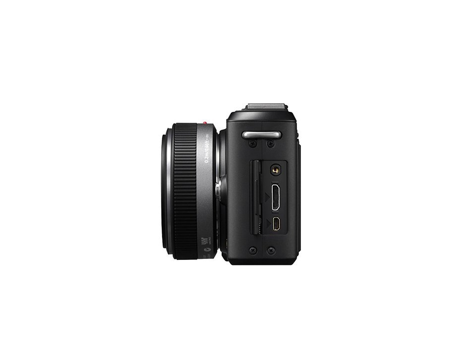 Panasonic Lumix DMC-GF1 12.1MP Micro Four-Thirds Interchangeable Lens Digital Camera with LUMIX G 20mm f/1.7 Aspherical... N10