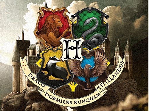 Harry Potter Hogwarts Edible Image Photo Cake Topper Sheet Birthday - 1/4 Sheet - 10827