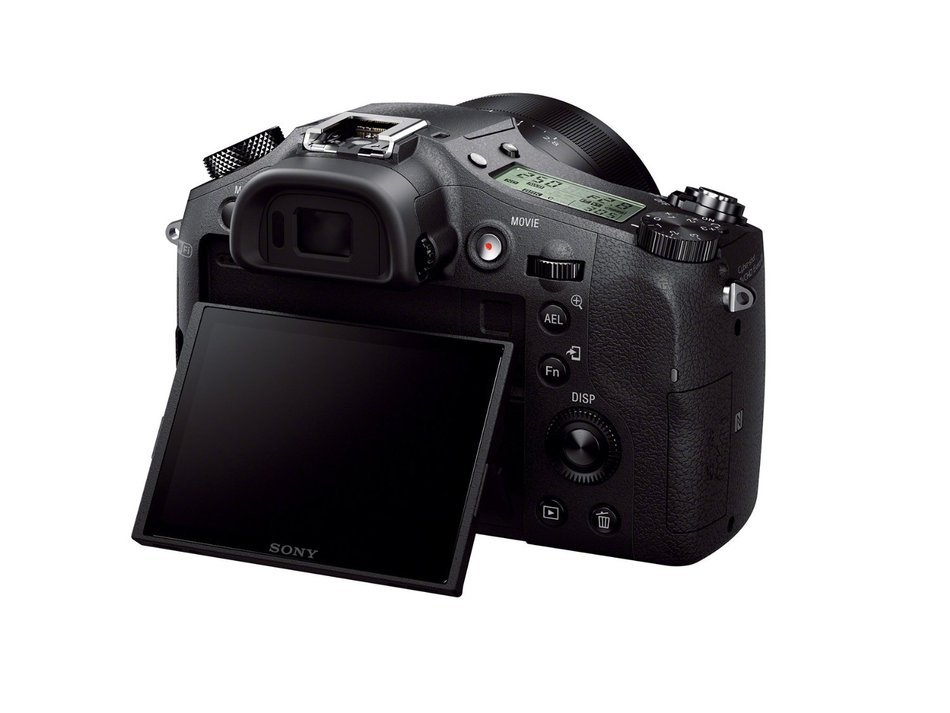 Sony DSCRX10/B Cybershot 20.2 MP Digital Still Camera with 3-Inch LCD Screen N6