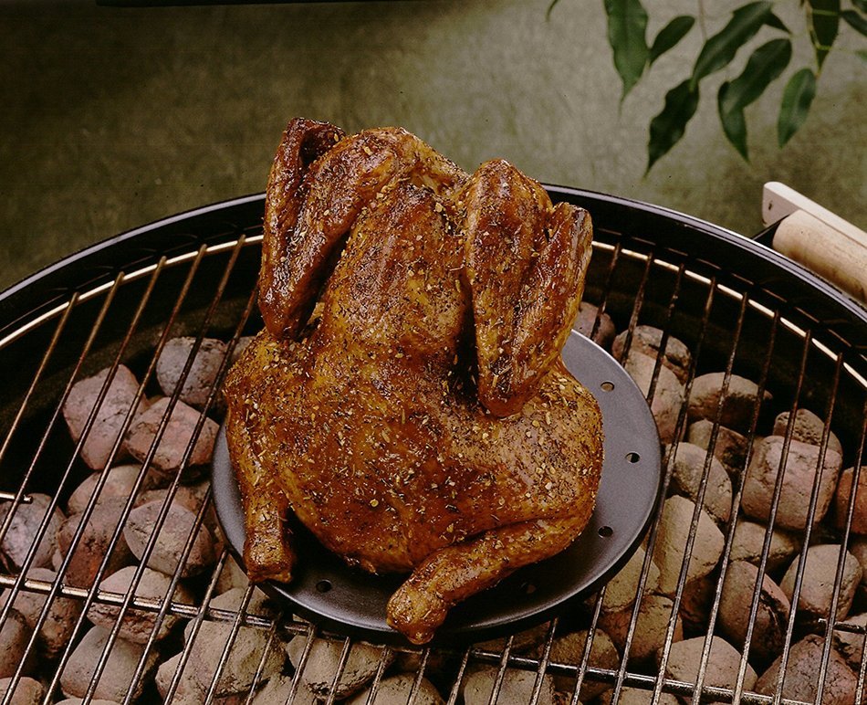 Nordic Ware Grilling Essentials Poultry Roasting Cone N2