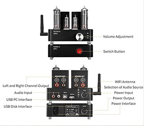 Douk Audio APPJ PA1601A WiFi Smart Mini HiFi Tube Amplifier USB PC/U-disk/SD Card/AUX Input (Silver) N2