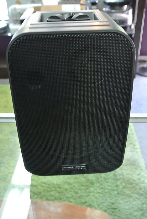Olympus CLV A900R/k965 900mhz Indoor/Outdoor Wireless Speaker N2