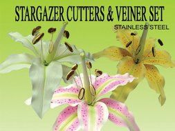 Stargazer Gumpaste Cutters &amp; Veiner Set