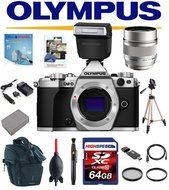 Olympus OM-D E-M5 Mark II W/ Olympus FL-LM3 Flash, Olympus M.ZUIKO DIGITAL ED 75mm f1.8 Lens, 64GB Deluxe Kit... N2