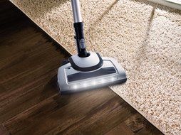 Electrolux EL4060A Versatility All Floors Bagless Canister Vacuum - Corded N3
