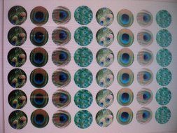 48 round very small 1&quot; Assorted Green Edible Decorative Wafer Paper Peacock Feathers &copy; Wedding Cake Cupcake Toppers N2