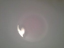 Vintage Pyrex Butterfly Gold cinderella mixing bowl 1.5 Pint N2