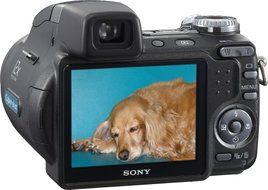 Sony Cybershot DSC-H5 7.2MP Digital Camera with 12x Optical Image Stabilization Zoom N3