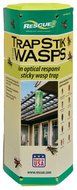 Sterling International TSW-BB6 Wasp Trapstick - Quantity 1