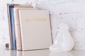 LOVENJOY with Gift Box Kissing Bride Groom Couple and Big Dog Animal Silhouette Wedding Cake Decoration Topper... N10