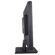 22-Inch Acer AL2216W DVI/VGA Widescreen TFT LCD Monitor (Black) N2