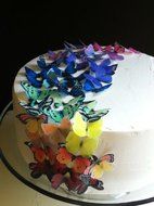 Edible Butterflies &copy; - Small Assorted Raibow Collection Set of 50- Cake and Cupcake Toppers, Decoration N2