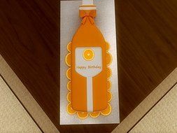 Euro Tins Novelty cake pans Bottle cake pan birthday party Champagne Bottle cake tin 38cm N6