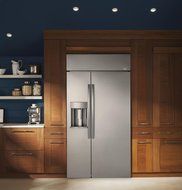 GE Profile 42" Stainless Steel Built-In Side By Side Refrigerator N2
