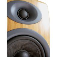 Audioengine P4 Premium Passive Bookshelf Speakers (Bamboo) with DS2 Desktop Speaker Stands (Black) N4
