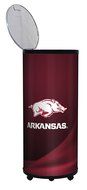 NCAA Ice Barrel Wolverines N74