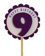 All About Details Shimmer Purple 9th Birthday Cupcake Toppers, Set of 12 N2