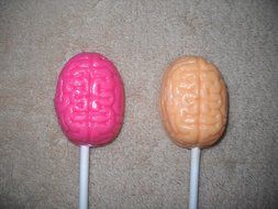 Brain, cerebrum, cerebellum, cortex, Lobes Lollypop H175 Halloween Chocolate Candy Mold