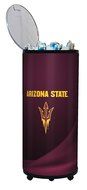 NCAA Ice Barrel Wolverines N91