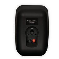 Theater Solutions TS525ODB 400 Watt Indoor/Outdoor Speaker (Black) N5