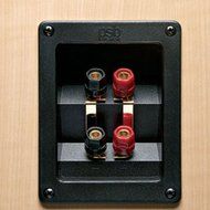 The Image Series T45 By Psb (Black)