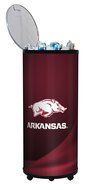 NCAA Ice Barrel Wolverines N120