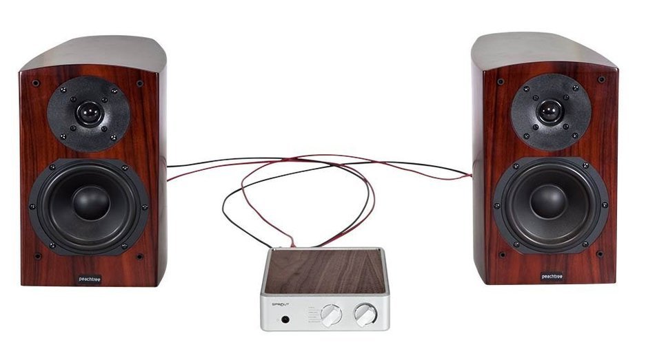 PS Audio Sprout Complete Hifi Home DAC Amp, High End Audio from Vinyl, Analog, Digital (Walnut) N2