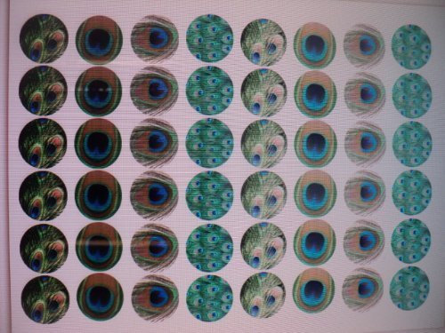 48 round very small 1" Assorted Green Edible Decorative Wafer Paper Peacock Feathers &copy; Wedding Cake Cupcake Toppers N2