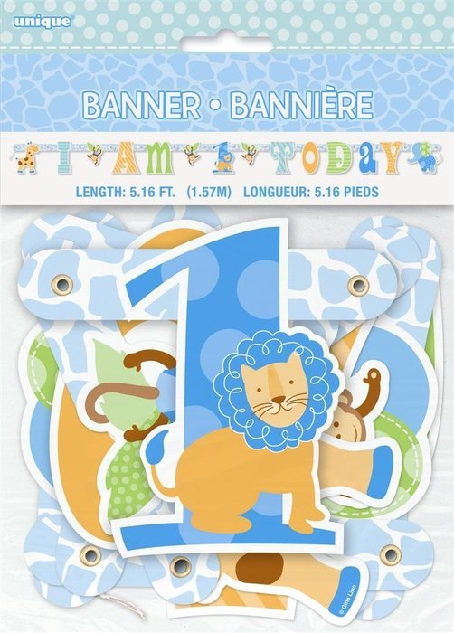 Blue Safari First Birthday Cupcake Kit for 24 N24