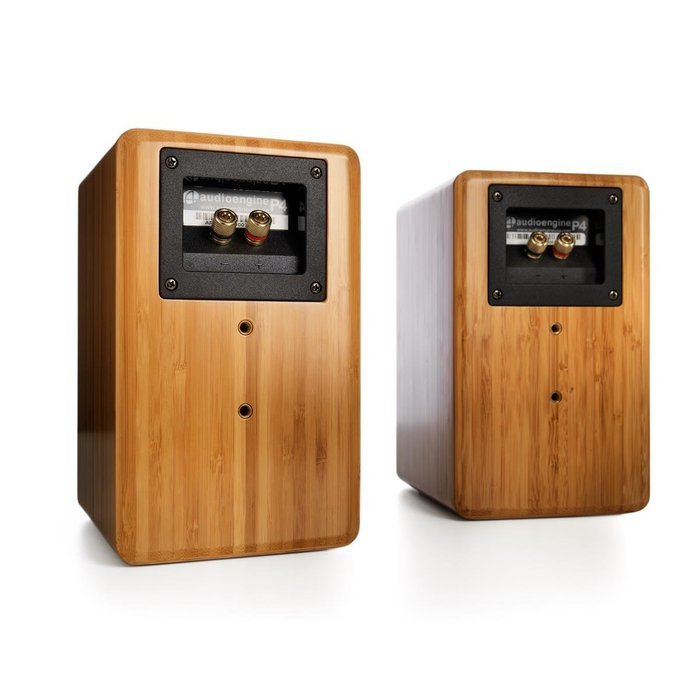 Audioengine P4 Premium Passive Bookshelf Speakers (Bamboo) with DS2 Desktop Speaker Stands (Black) N5